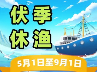 2025年威海伏季休漁政策發(fā)布！